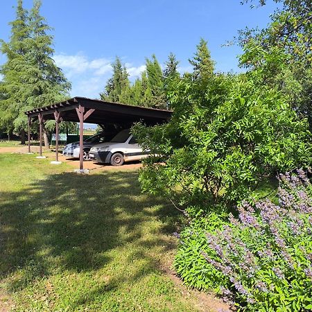 Casas Rurales Tabla Honda El Robledo  Екстер'єр фото