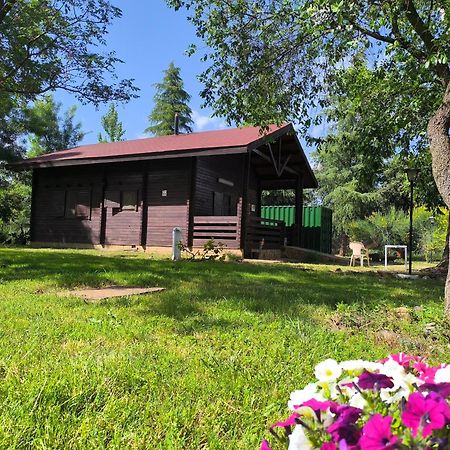 Casas Rurales Tabla Honda El Robledo  Екстер'єр фото