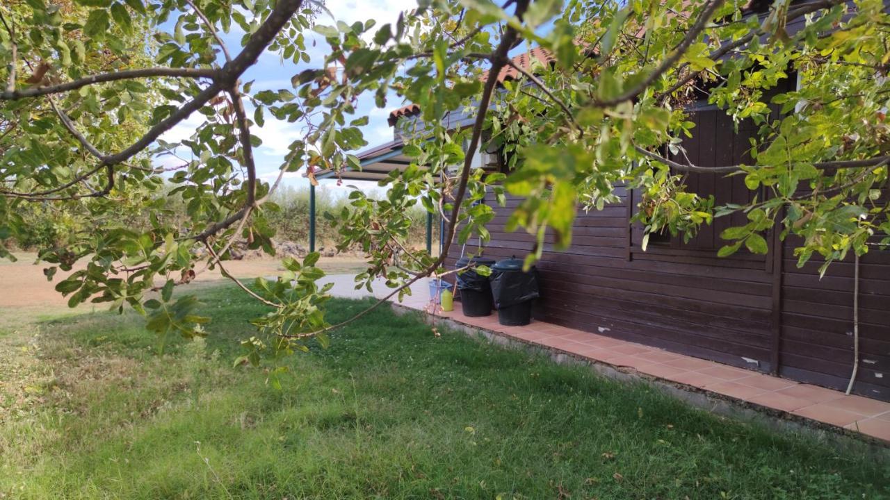 Casas Rurales Tabla Honda El Robledo  Екстер'єр фото