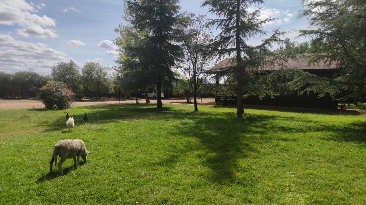 Casas Rurales Tabla Honda El Robledo  Екстер'єр фото