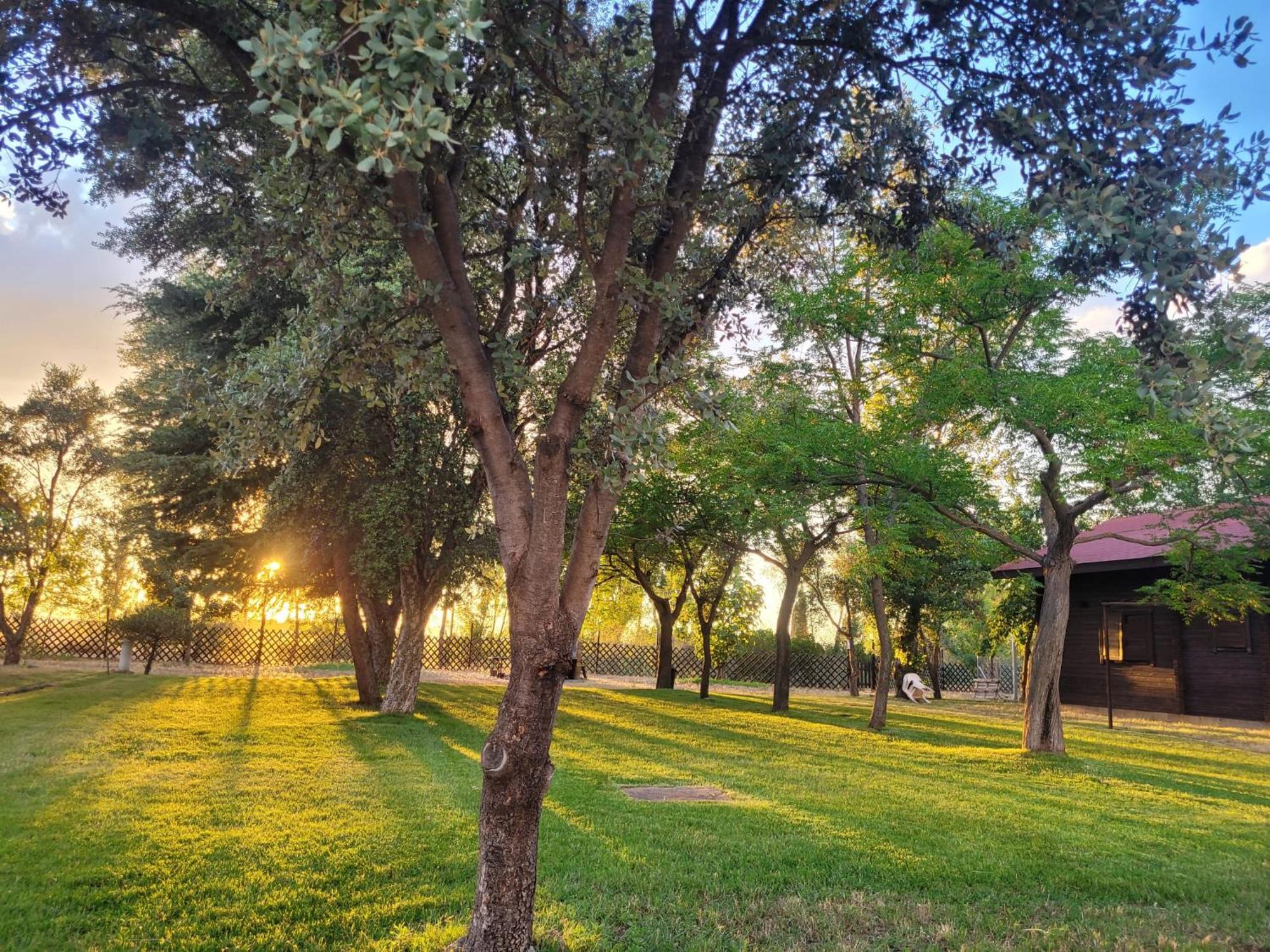 Casas Rurales Tabla Honda El Robledo  Екстер'єр фото